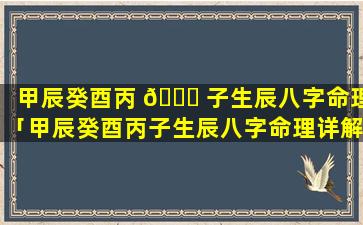 甲辰癸酉丙 🐒 子生辰八字命理「甲辰癸酉丙子生辰八字命理详解」